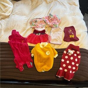 S/XS Dog Apparel Collection